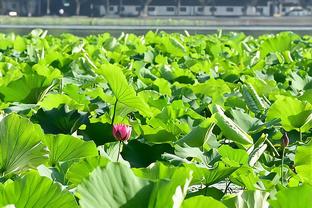 国际足联年度最佳颁奖，将于1月16日3：30在伦敦举行